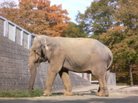 wphoto05nov4 026.JPG